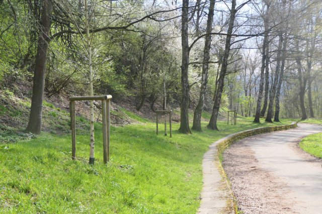 p1060586easy fotok.jpg